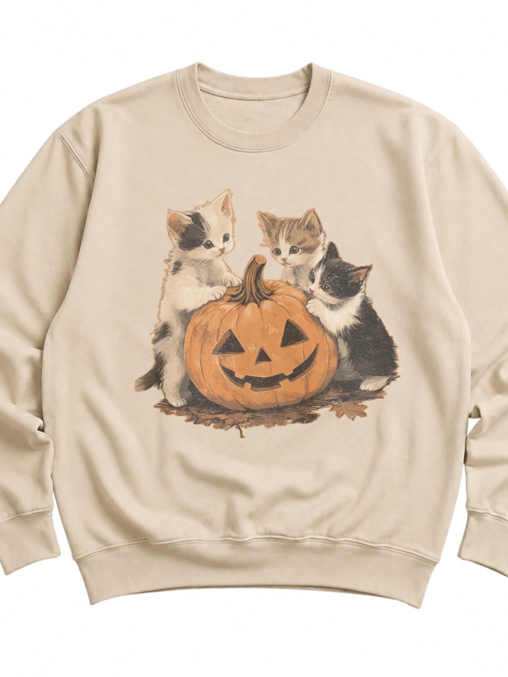 Sand Sweatshirt with Kittens & Pumpkin Graphic